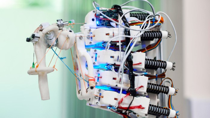 Robotic Vacuums: The Revolution in Automated Home Maintenance