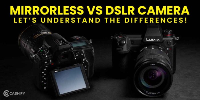 Mirrorless Vs Dslr Cameras 10 Key Differences at Juana Joanne blog
