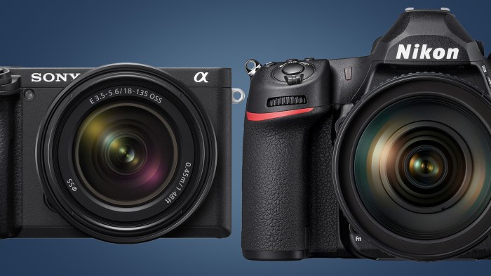 Mirrorless vs. DSLR Cameras: An In-Depth Comparison for Photographers